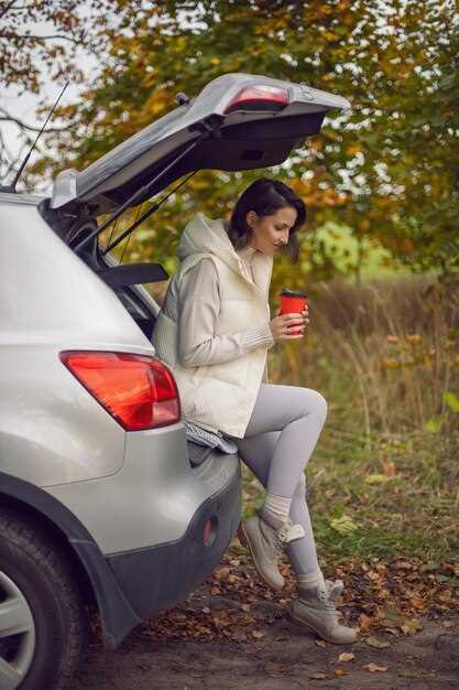 Настройка системы обогрева в Nissan Qashqai