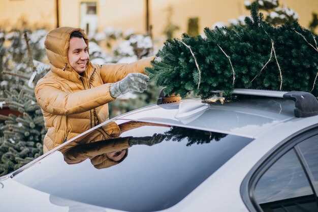 Выбор подходящих моделей для вашего автомобиля