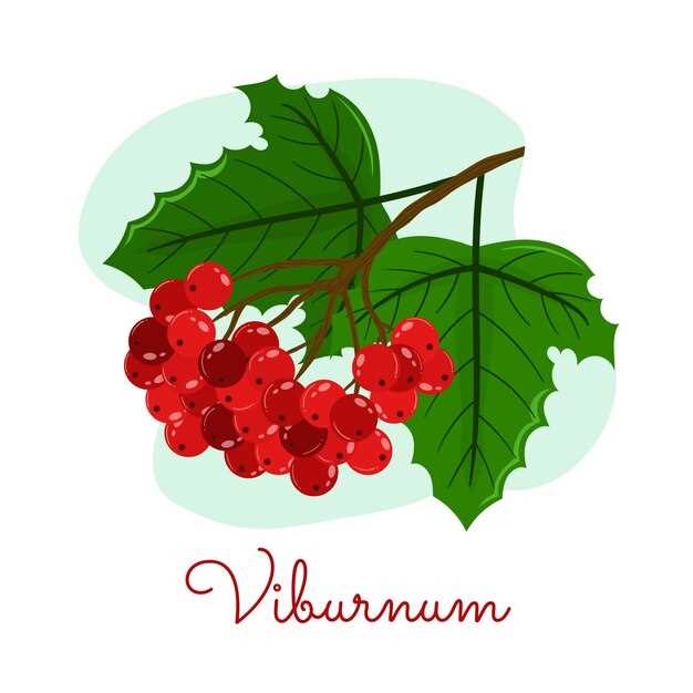 Советы по уходу за защитными покрытиями