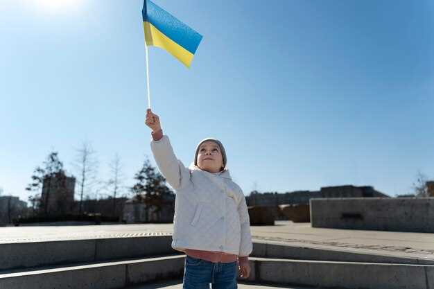 Установка системы обогрева лобового стекла