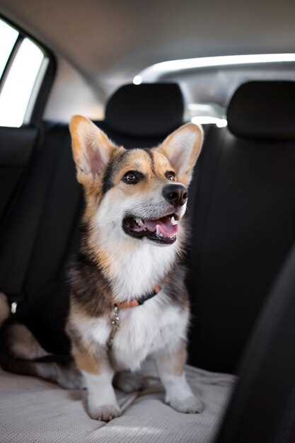 Понимание концепции subwoofer