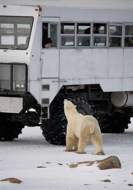 Проверка свечей и высоковольтных проводов